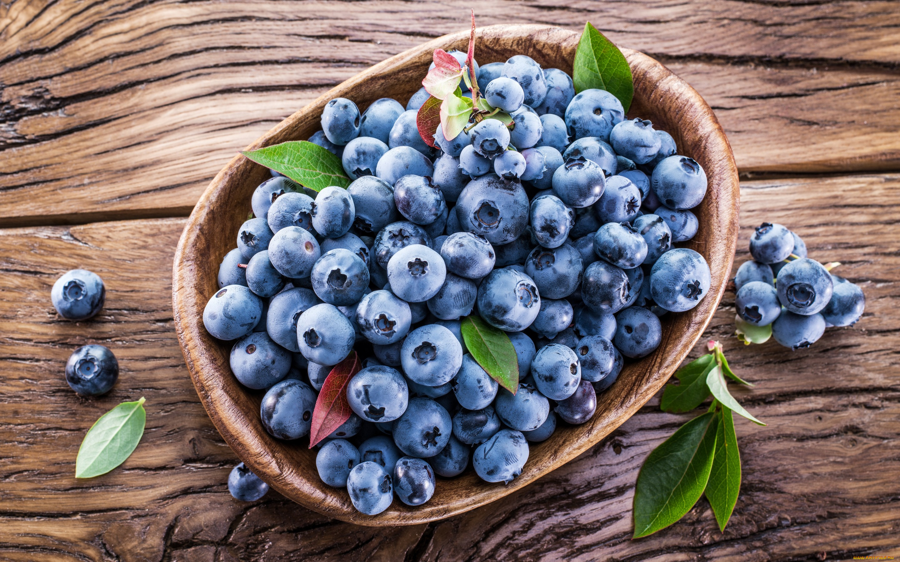, ,  , berries, blueberry, , , , fresh